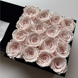 ROSE FOREVER NEW YORK Pink Rose Box
